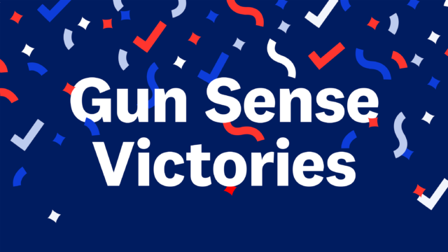 Gun Sense Victories