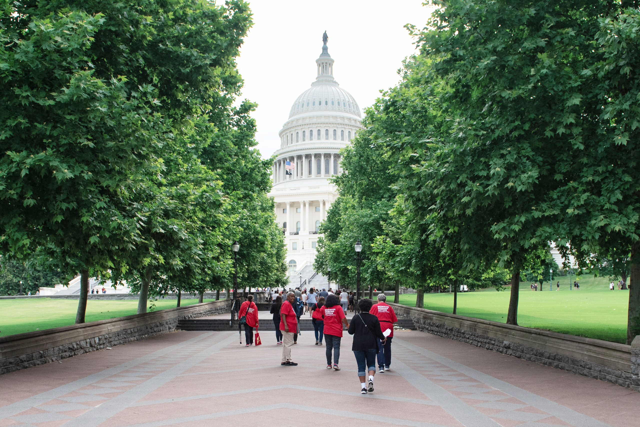 A group of Moms Demand Action volunteers are photographed from the back as they walk up the path to the Capitol Building. Shade trees line the path; the Capitol Building is visible in the center of the path, between the rows of trees. 